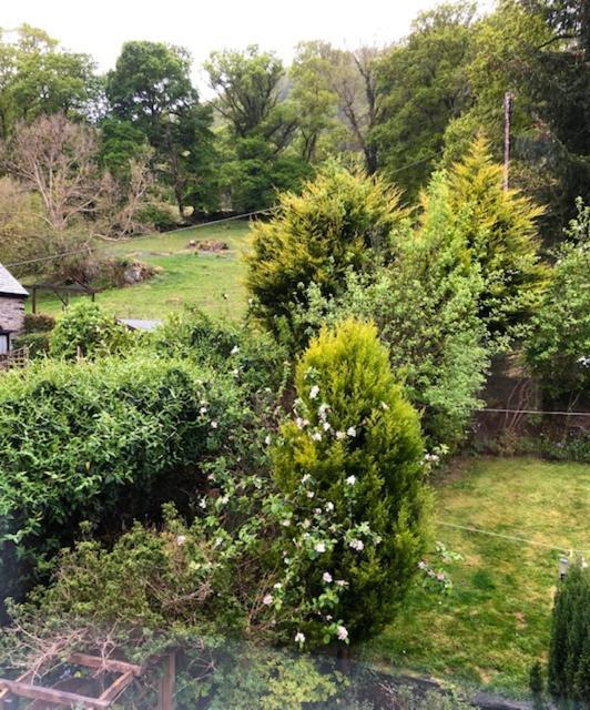 Afon View Ξενοδοχείο Betws-y-Coed Εξωτερικό φωτογραφία